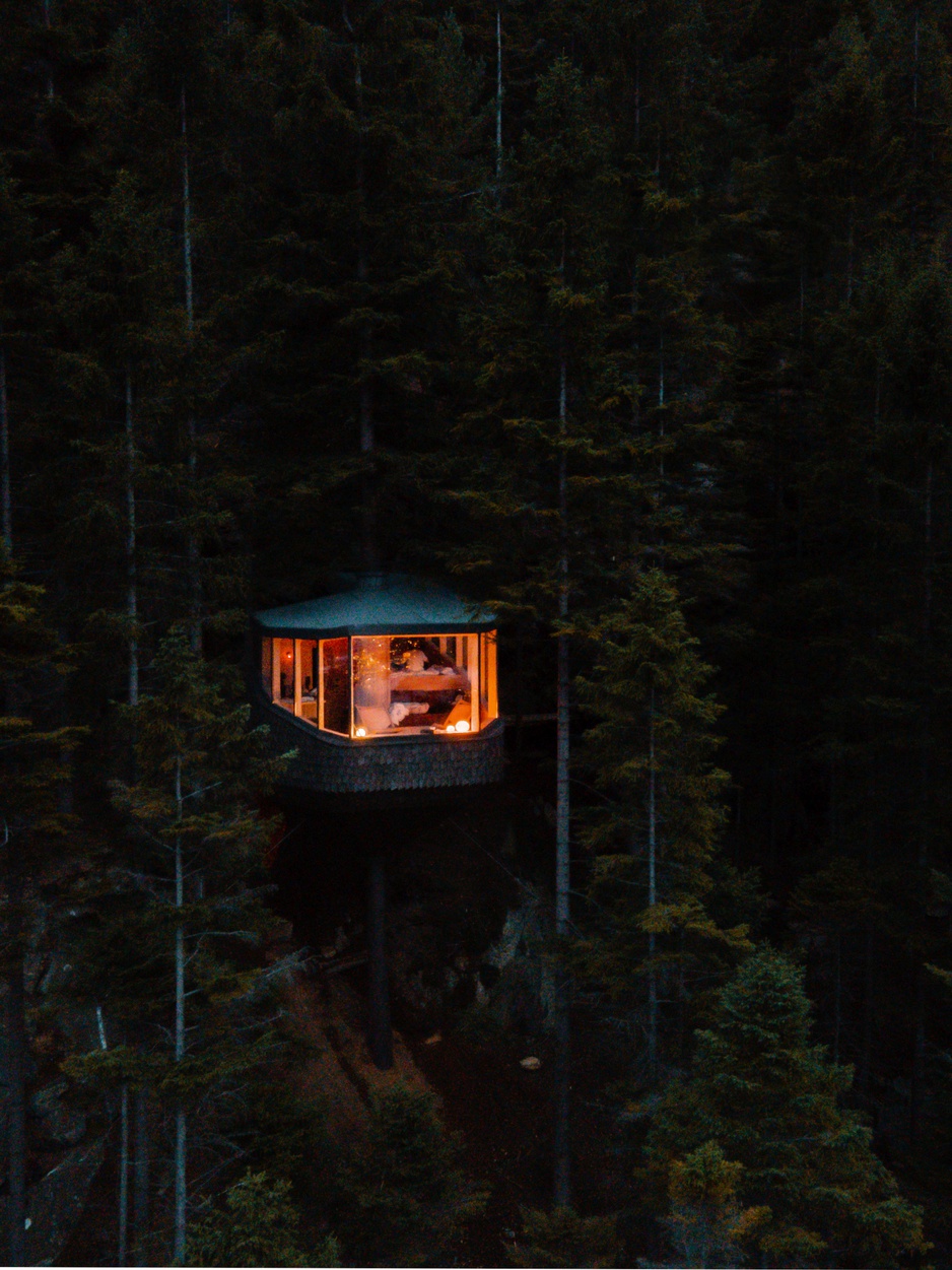 Woodnest Cabin In The Evening