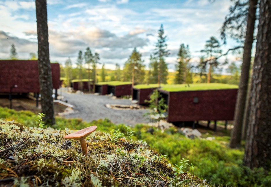 Arctic TreeHouse Hotel Green Roofs