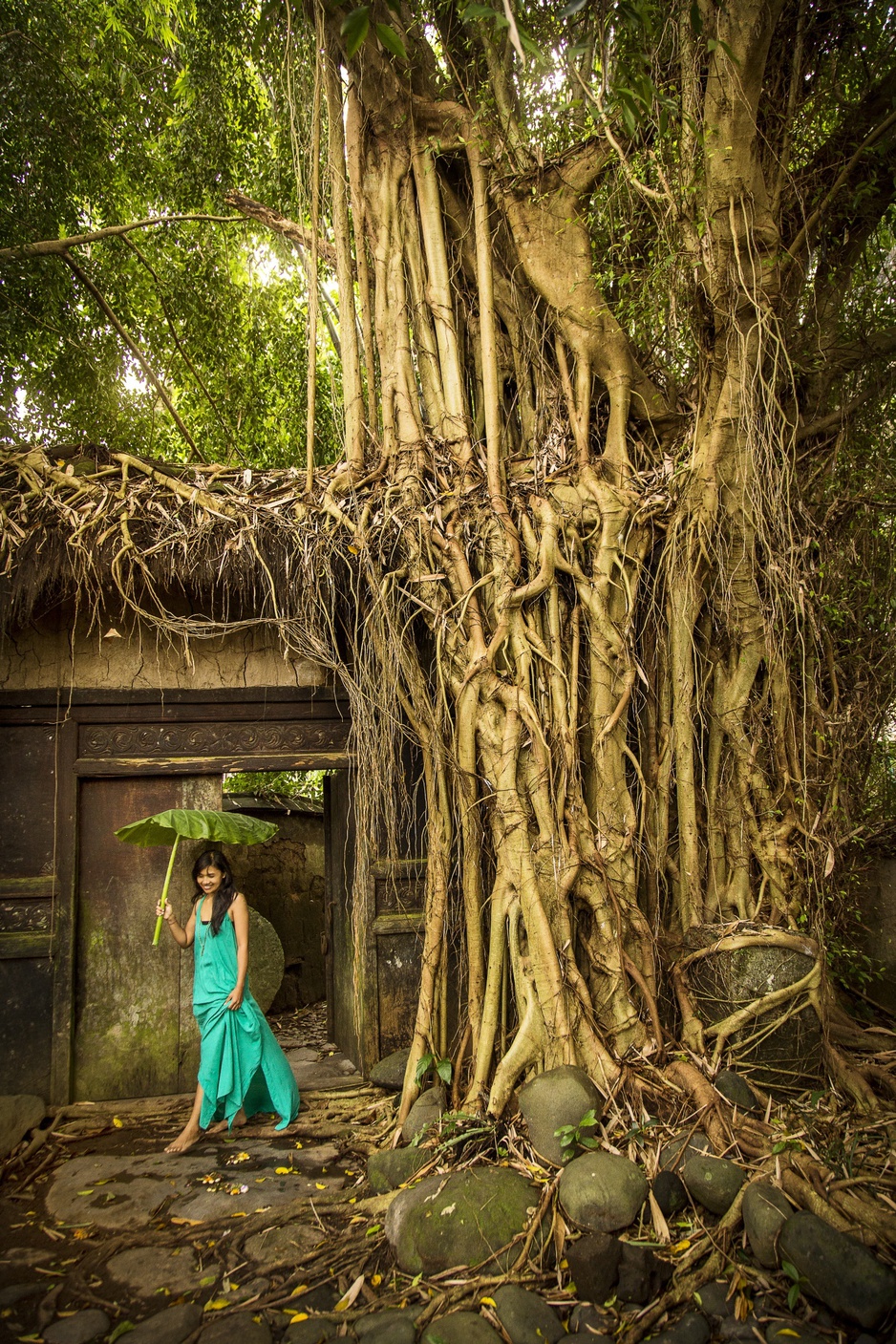 Ancient tree with a model girl