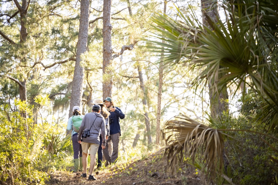 Little St. Simons Island Hiking Trip