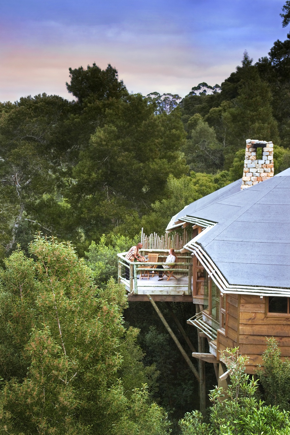 Tsala Treetop Lodge Villa Aerial