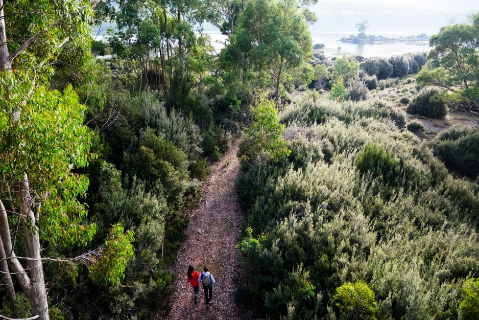 Basic walk in Tasmania