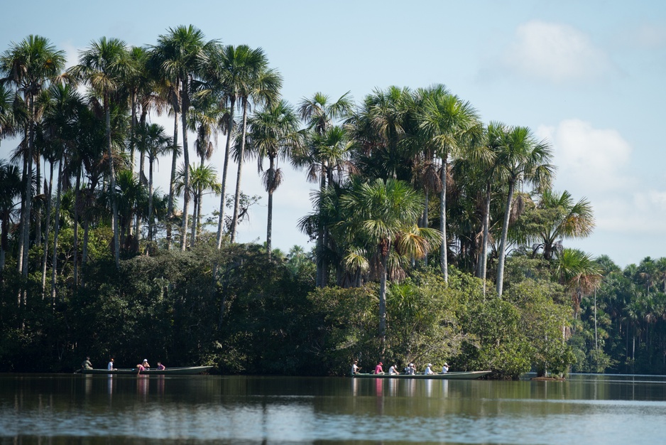 Amazon Jungle Boat Ride