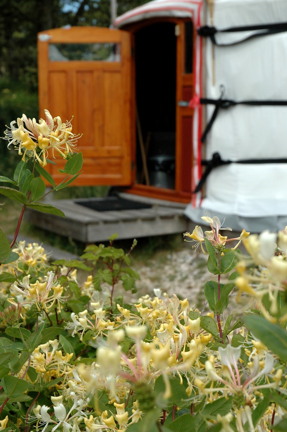 Texel Yurt open doors