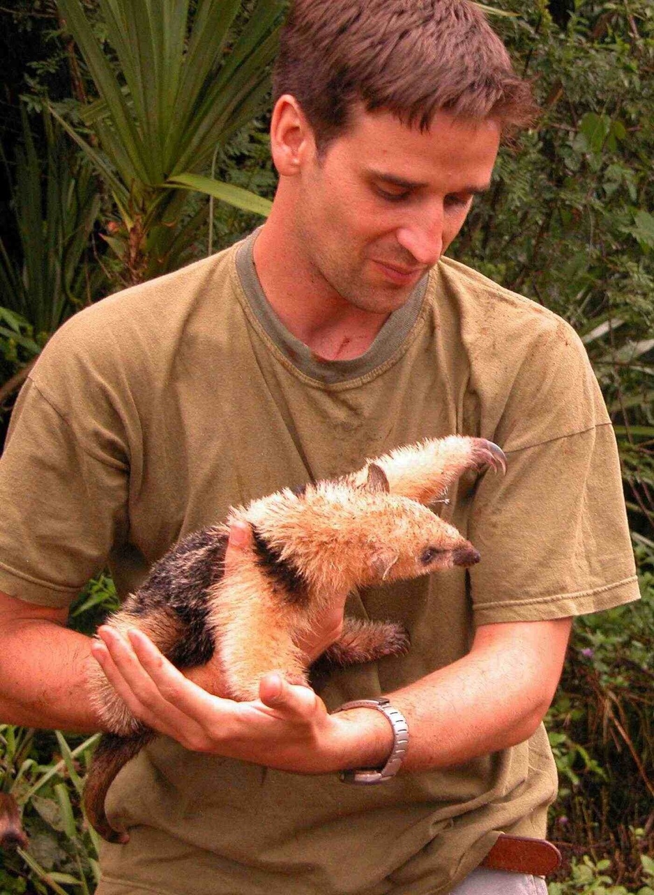 Wild Baby Sloth