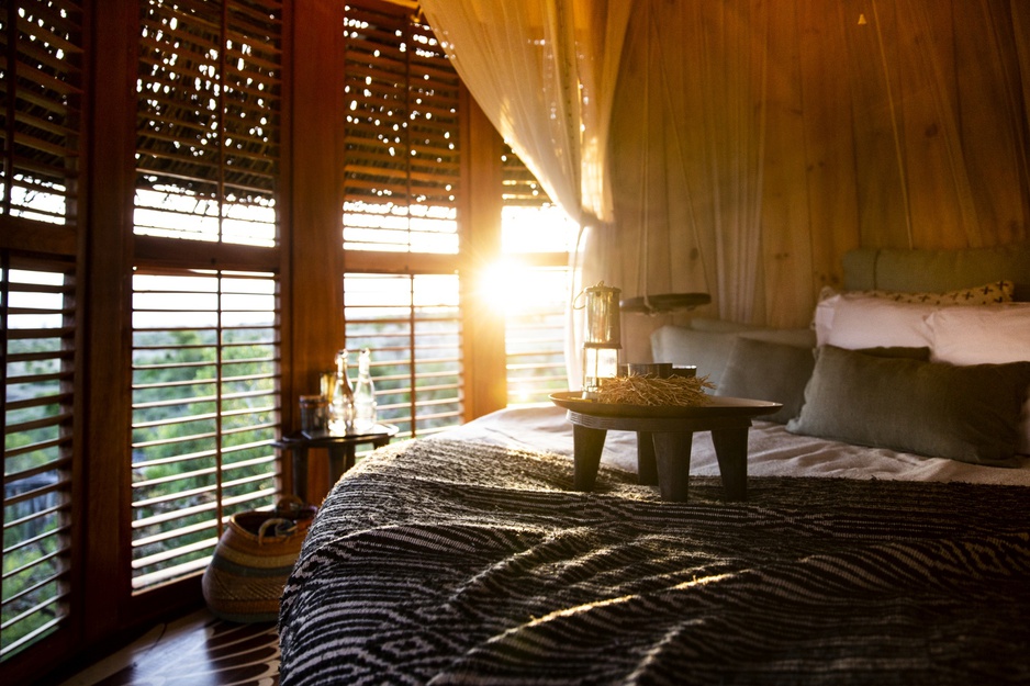 Bird Nest Treehouse Room