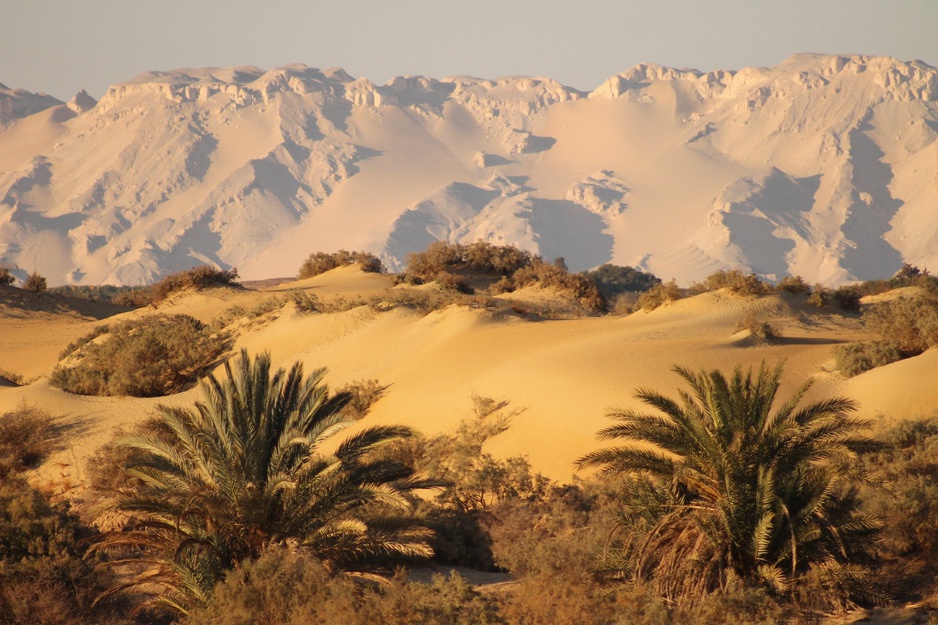 Dakhla Oasis Egypt Sand Dunes