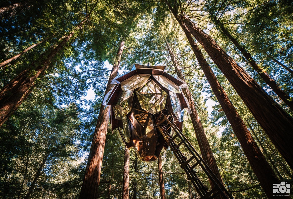 Pinecone-shaped treehouse