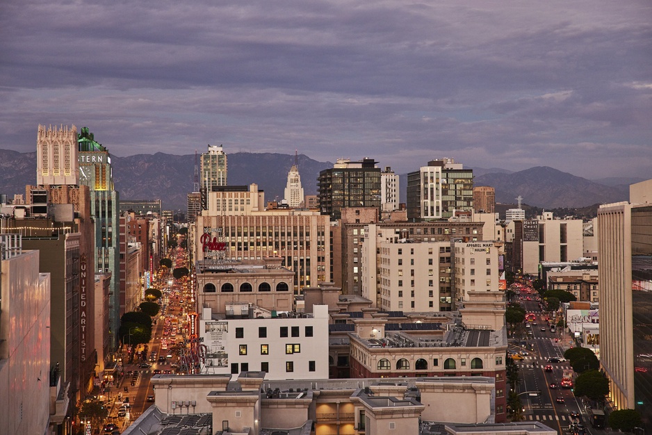 Downtown LA Proper Hotel Rooftop View