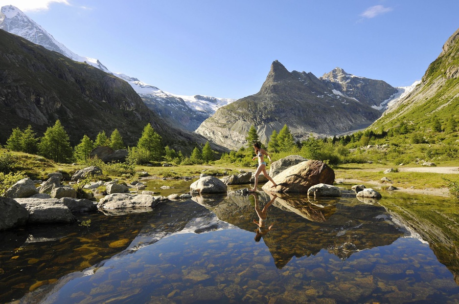 Swiss Alps