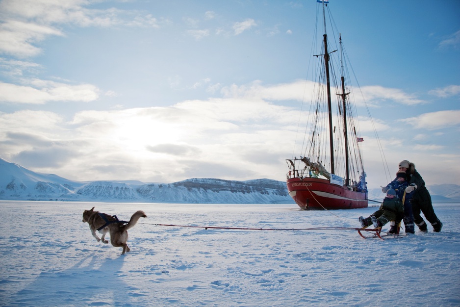 Dog sledging on the ice of the fjord