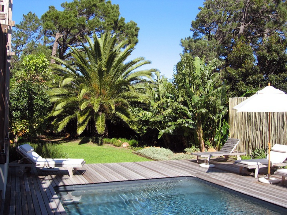 Pool and palms