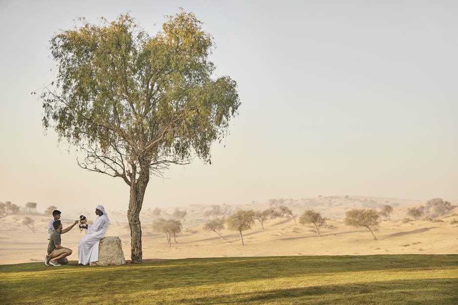 The Ritz-Carlton Ras Al Khaimah, Al Wadi Desert Hotel Falcon Experience