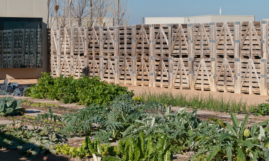 Hotel Aire de Bardenas vegetable garden