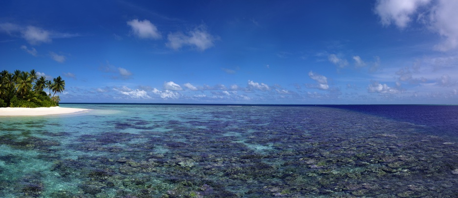 Maldives coral beach