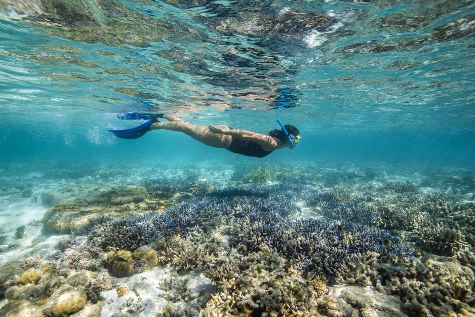 Hard Reef Snorkeling