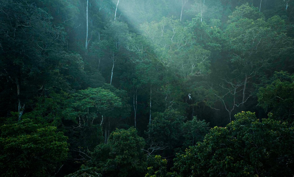 Nam Kan National Park Zipline