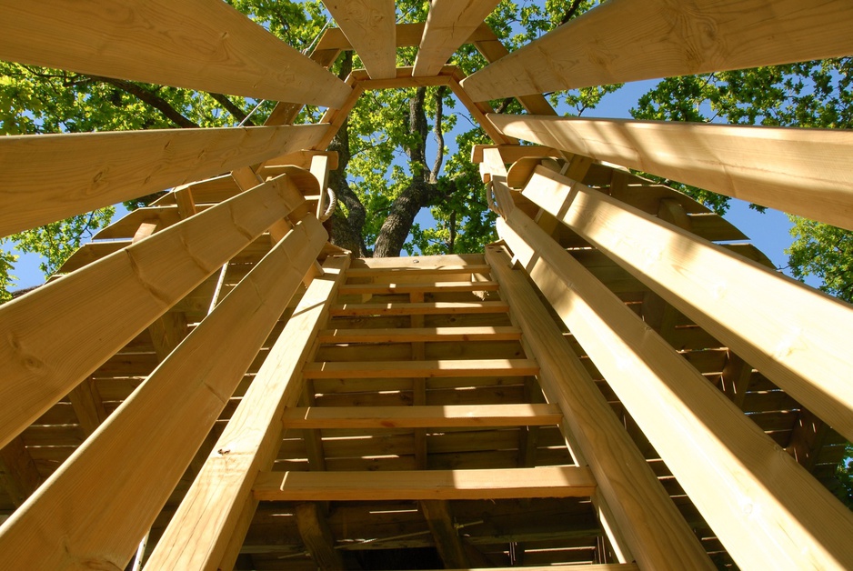 Inner wood structure of the tree house