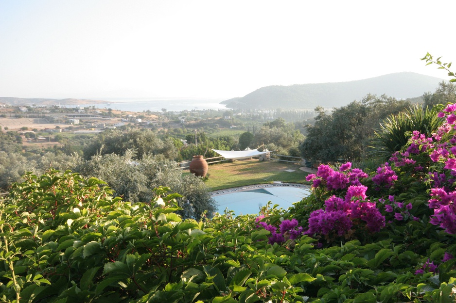 Antik Zeytin Hotel views