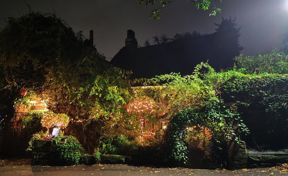 Wizards Thatch Cottage Full Of Greenery