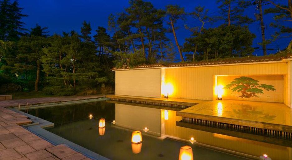 Hoshi Ryokan pool