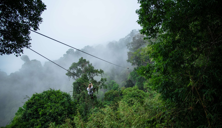 Jungle Ziplining