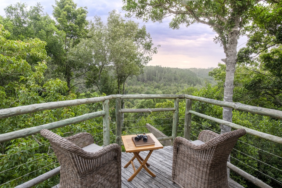 Tsala Treetop Lodge Private Balcony