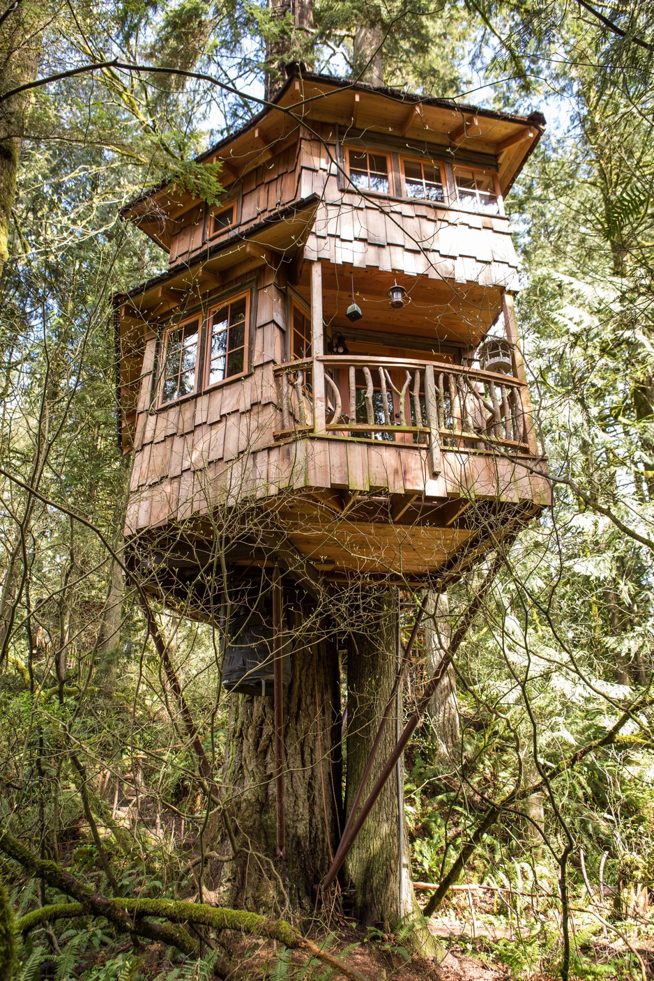 Burl Tree House exterior