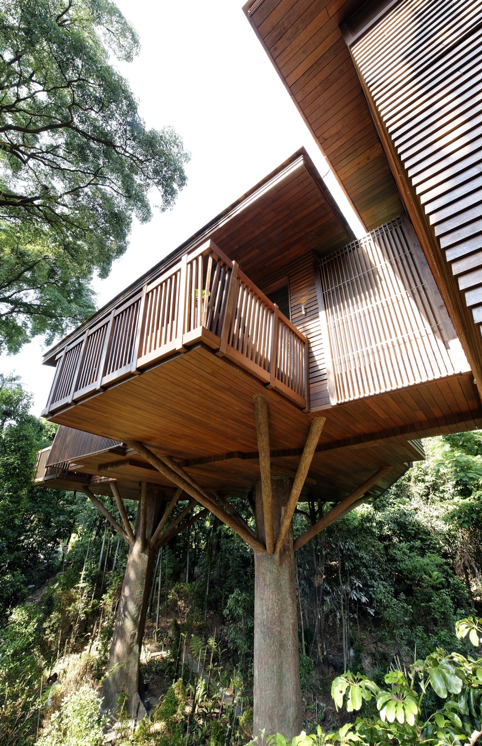 Tree Top Lofts