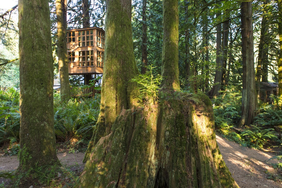 Trillium Tree House exterior