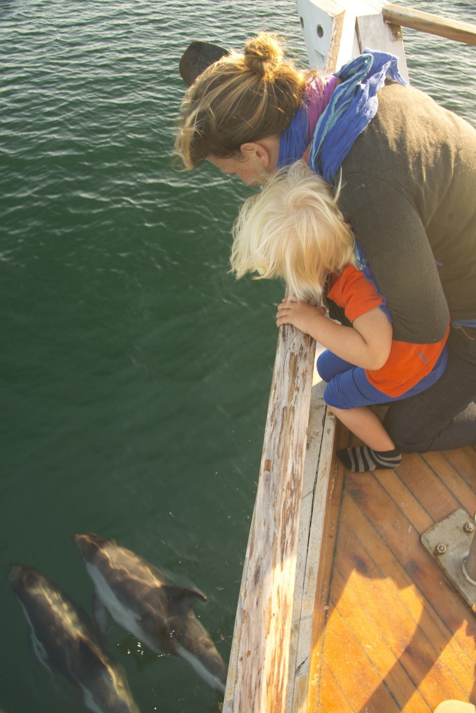 Mom with kid watching dolphins swim by