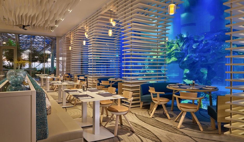 Paragraph Resort Prologue Restaurant with a Giant Aquarium