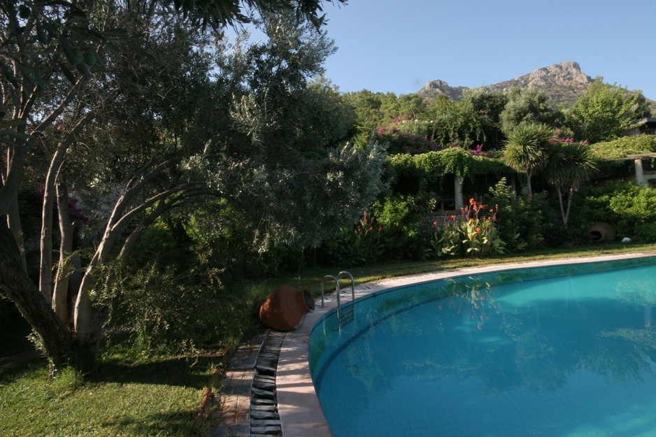 Antik Zeytin Hotel at the pool