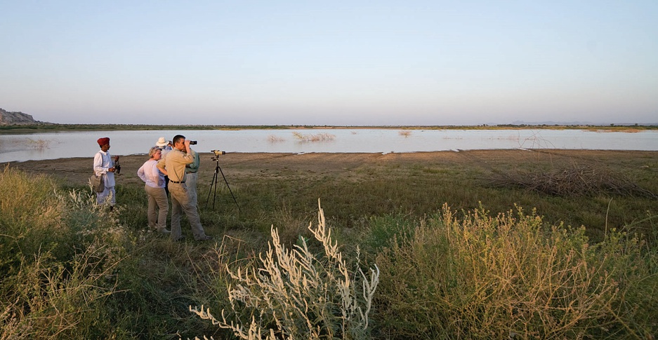 Chhatra Sagar bird watching