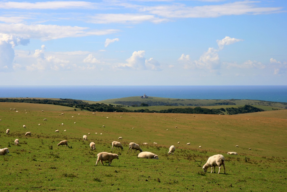 Belle Tout across downland