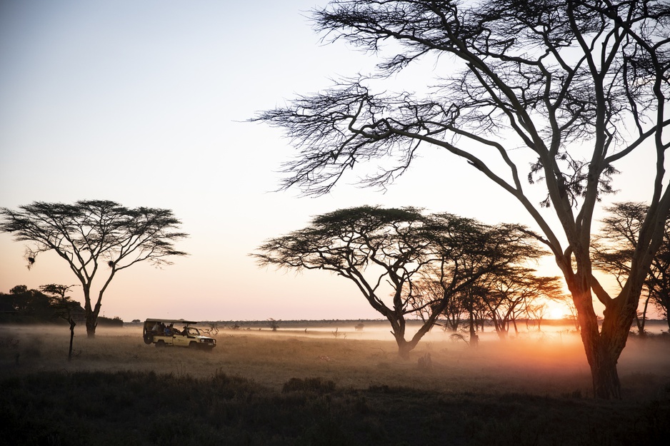 Laikipia Plateau Safari