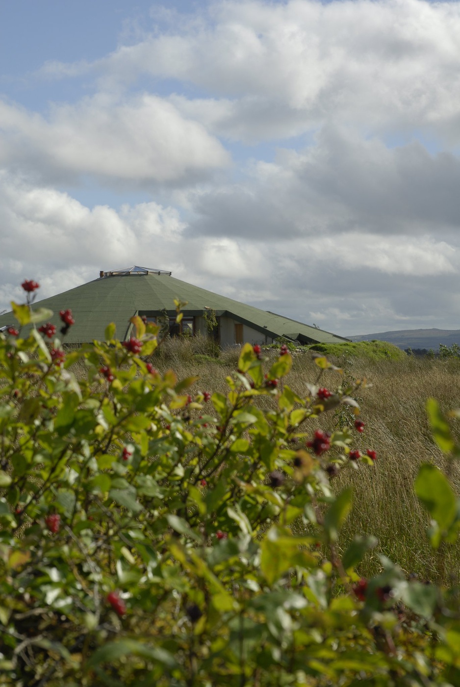 Gyreum Ecolodge from the grass