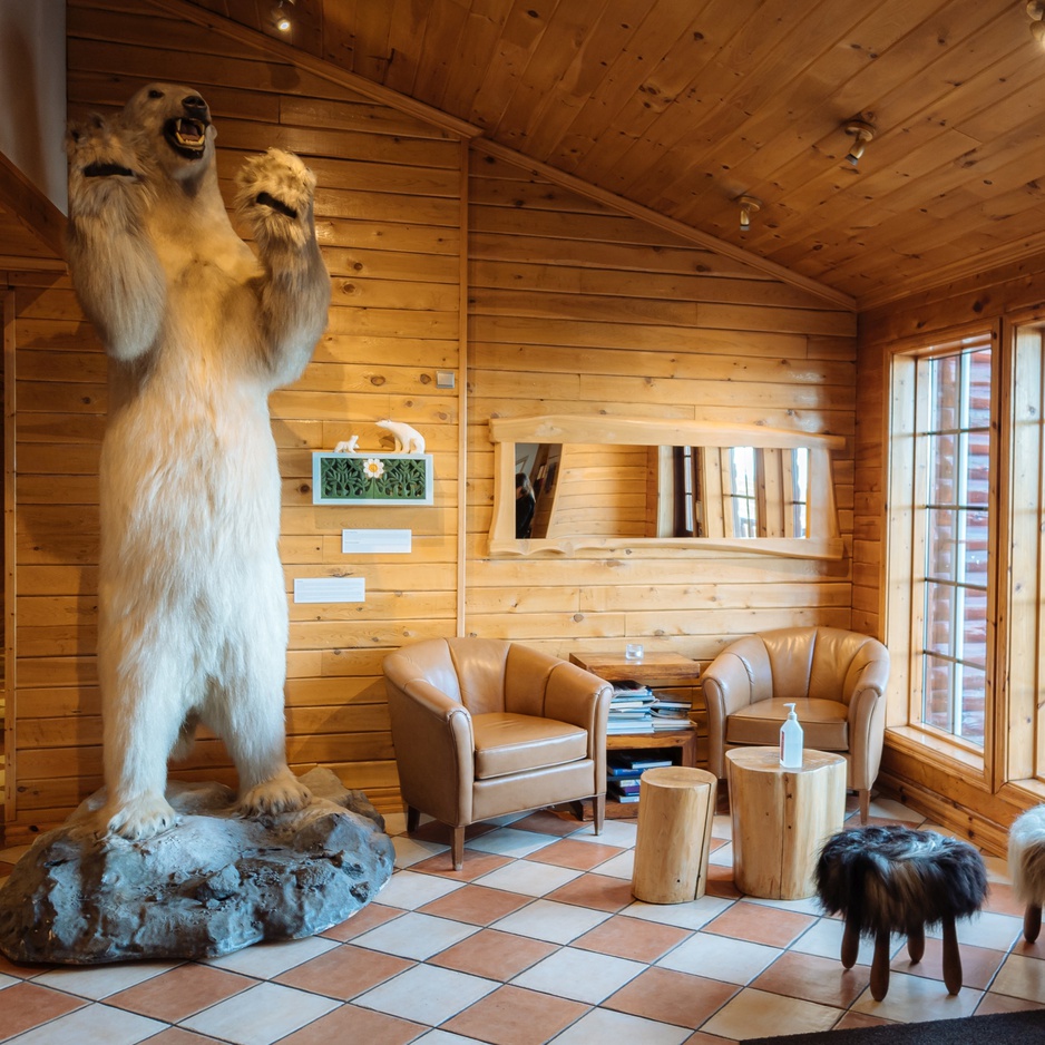 Hotel Rangá Reception Hrammur Bear