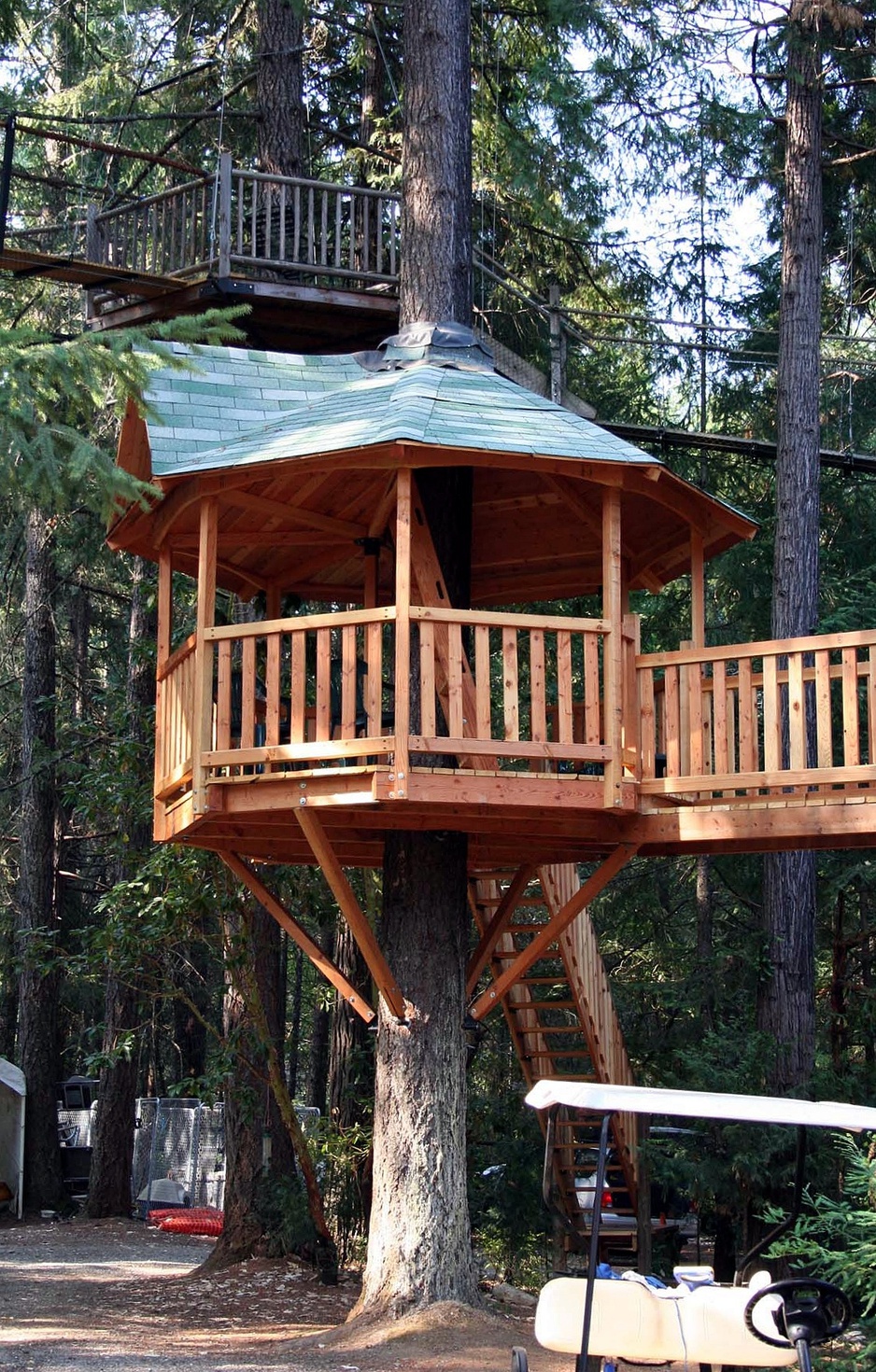 Mastreezeebo tree house