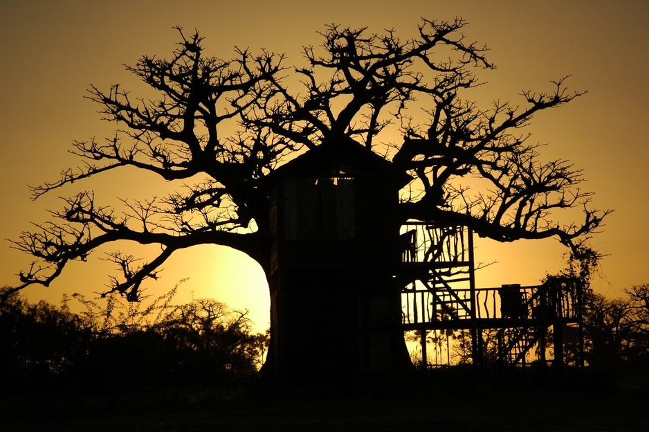 Les Collines De Niassam tree house