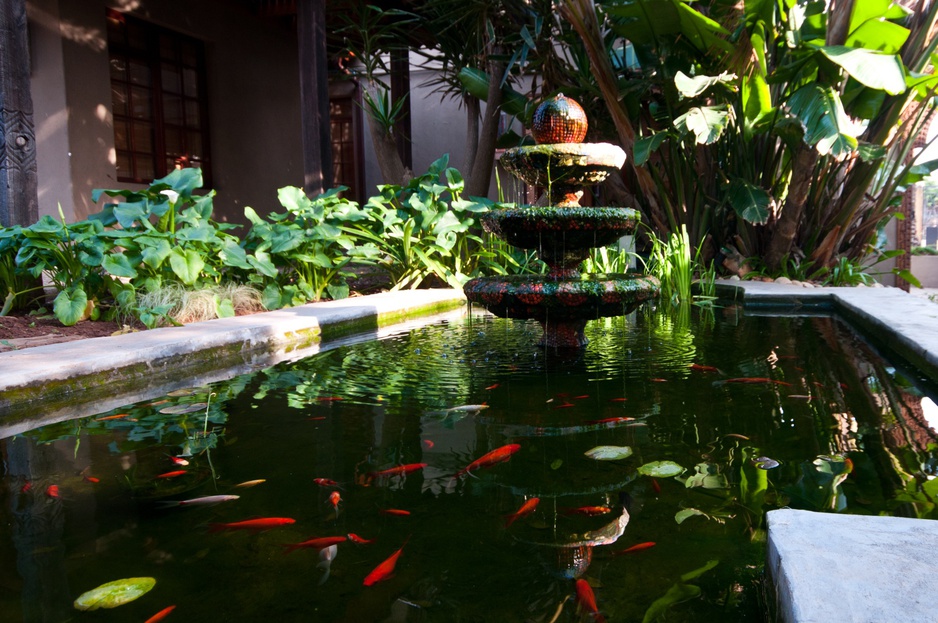 Fish pond