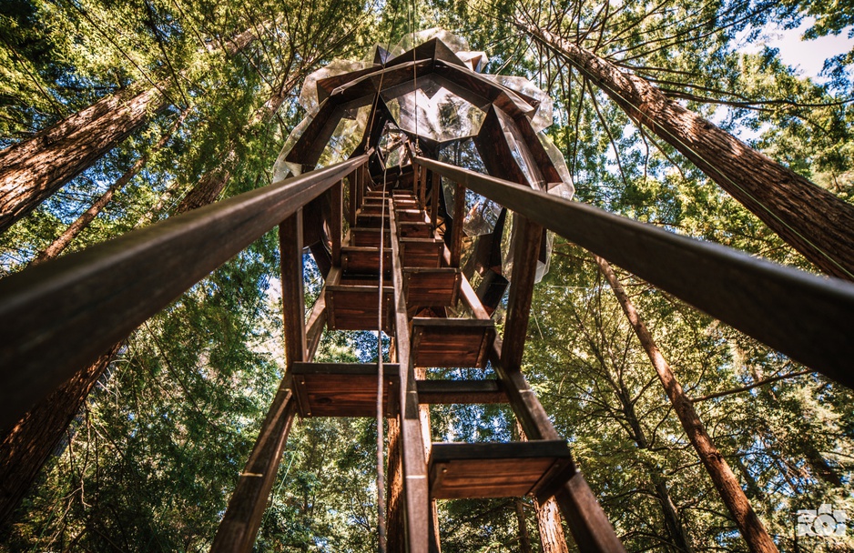 O2 Treehouse Pinecone ladders up