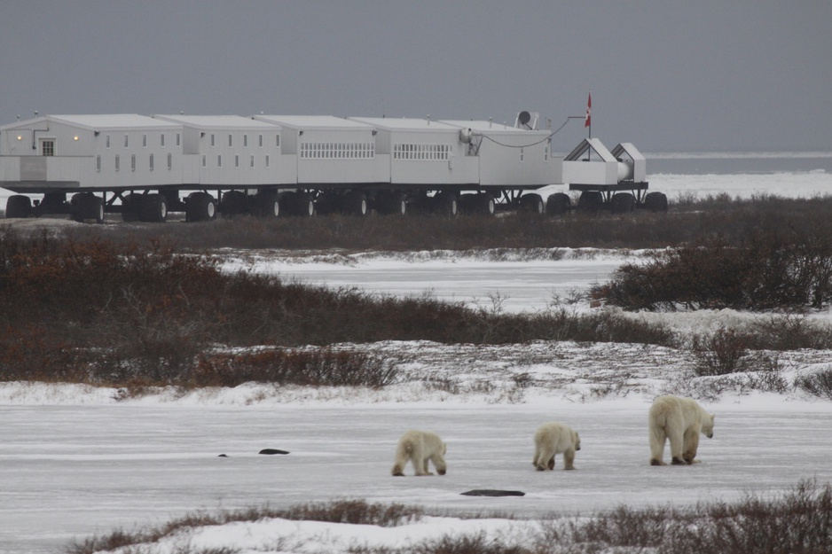 Tundra Buggy Lodge in the Wilderness of Manitoba