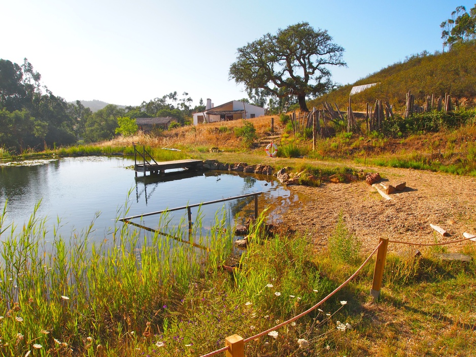 Bio pool and the house