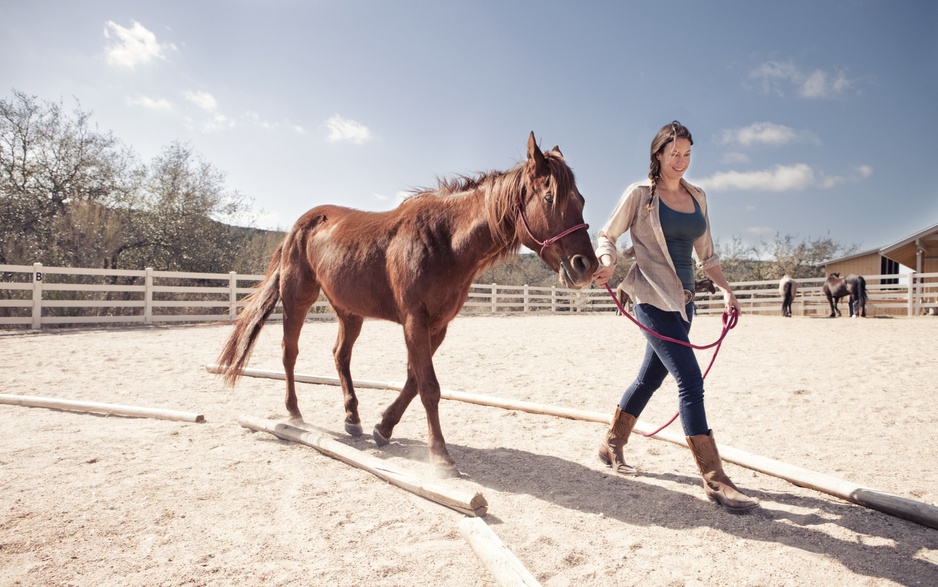 Playing with horses at Travaasa Austin Hotel