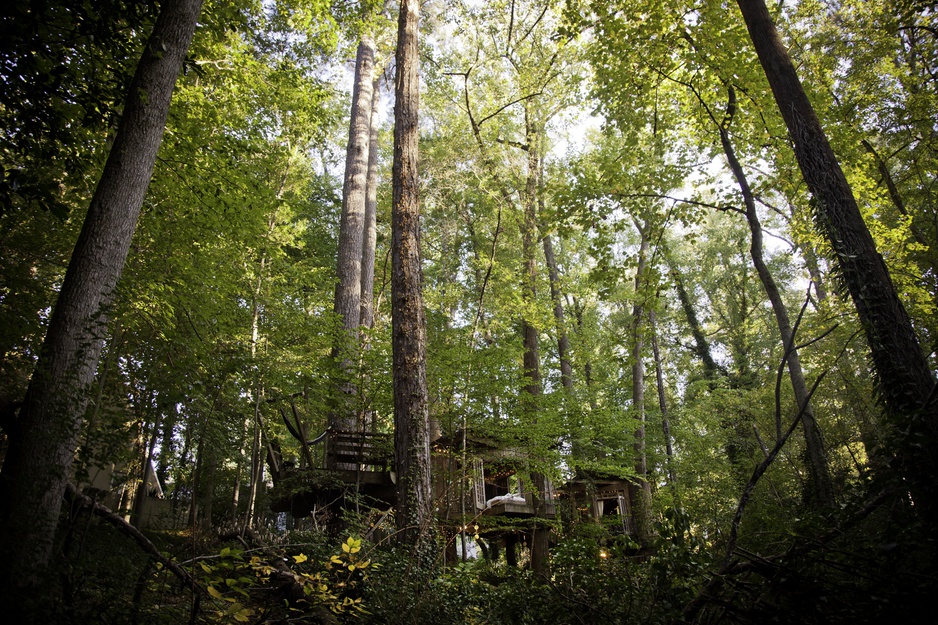 Secluded Intown Treehouse