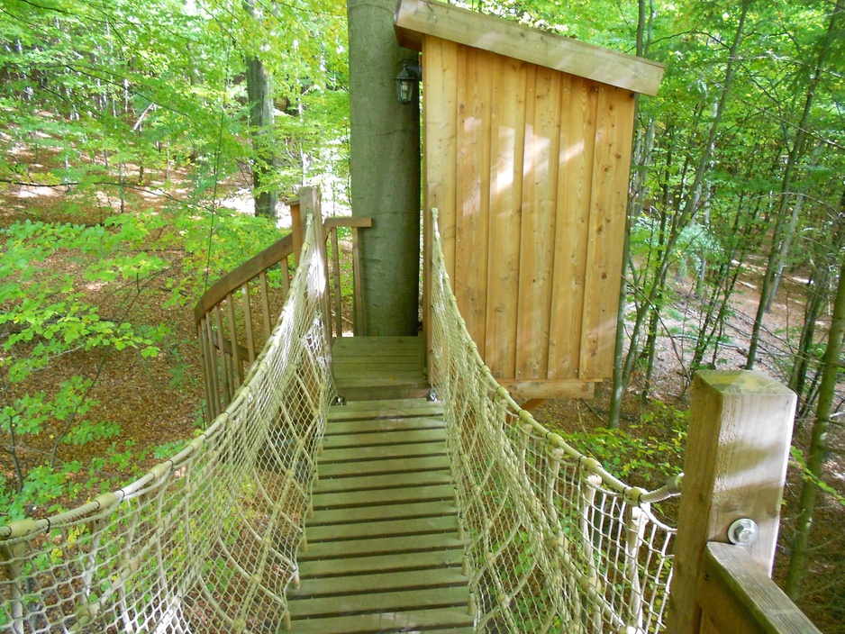 Baumhaushotel Solling wooden suspension bridge