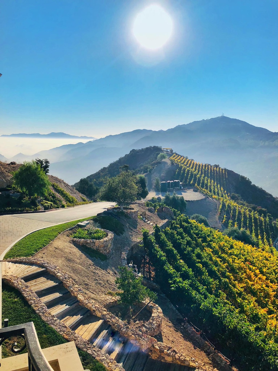 Malibu Rocky Oaks Vineyards