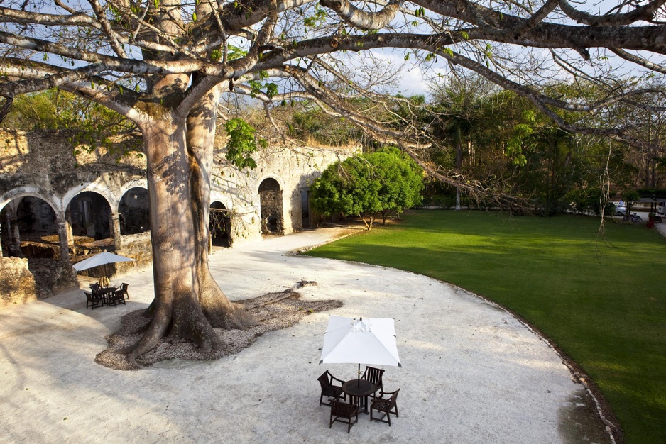 Hacienda Uayamon exterior with large tree and garden