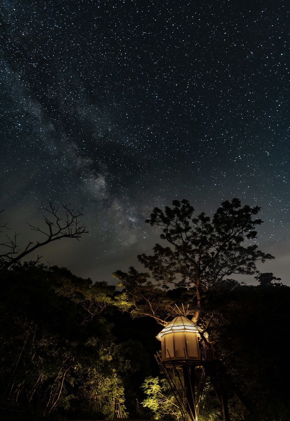 Treeful Treehouse Sustainable Resort Trophy Treehouse Starry Night Sky